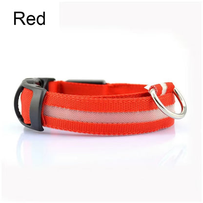Pet Protective Dogs Luminous Fluorescent LED Flashing and Reflective Dog Collar - Big Ass Store