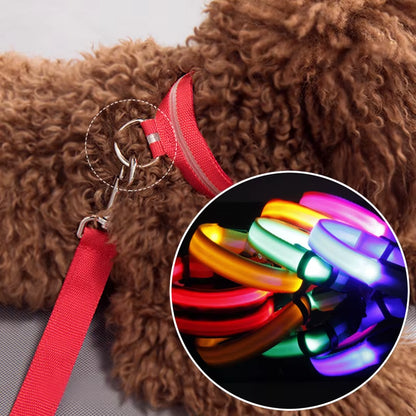 Pet Protective Dogs Luminous Fluorescent LED Flashing and Reflective Dog Collar - Big Ass Store