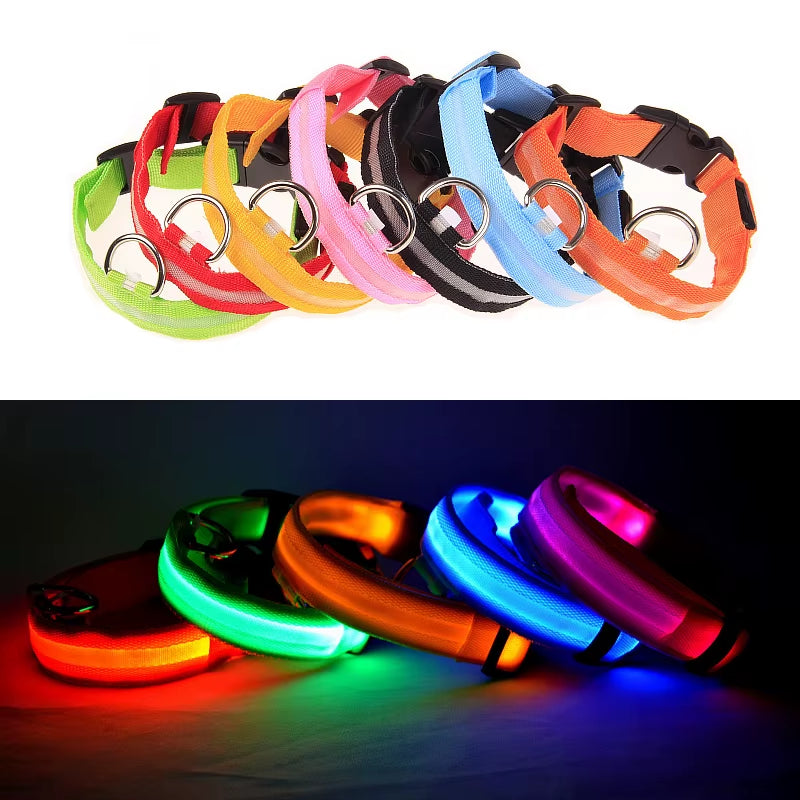 Pet Protective Dogs Luminous Fluorescent LED Flashing and Reflective Dog Collar - Big Ass Store