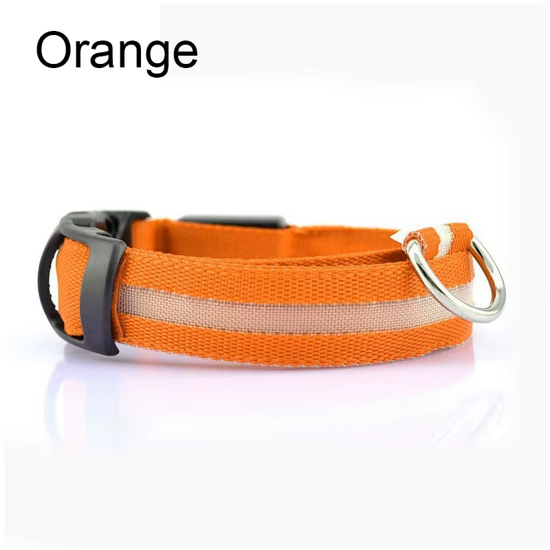Pet Protective Dogs Luminous Fluorescent LED Flashing and Reflective Dog Collar - Big Ass Store