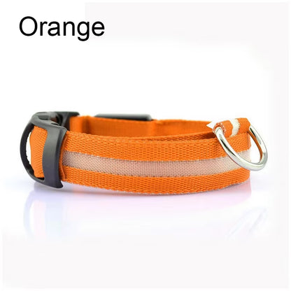 Pet Protective Dogs Luminous Fluorescent LED Flashing and Reflective Dog Collar - Big Ass Store