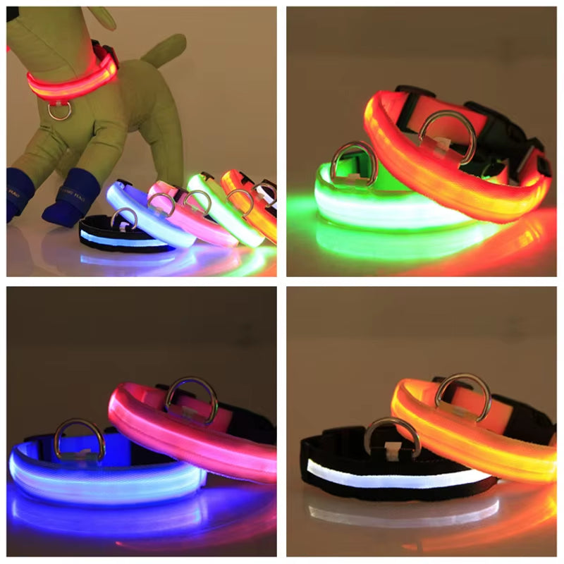 Pet Protective Dogs Luminous Fluorescent LED Flashing and Reflective Dog Collar - Big Ass Store