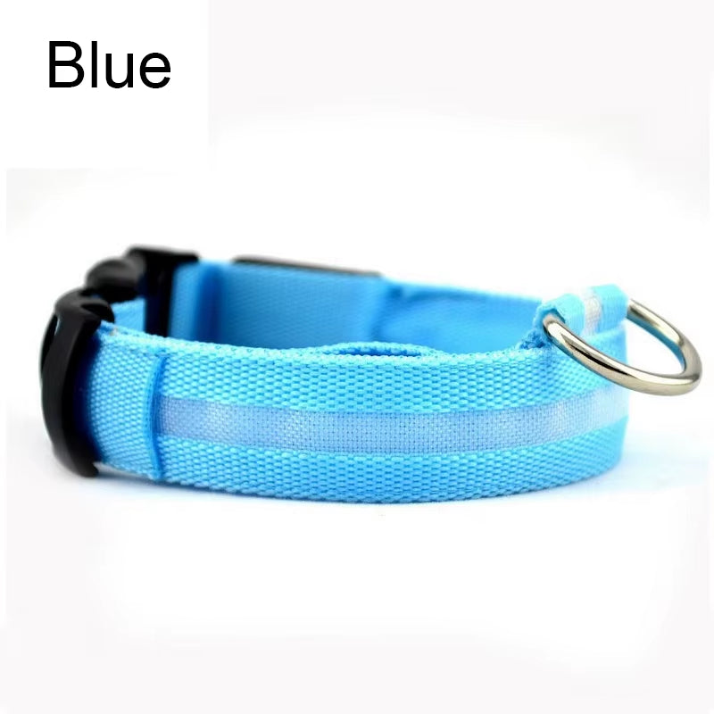 Pet Protective Dogs Luminous Fluorescent LED Flashing and Reflective Dog Collar - Big Ass Store
