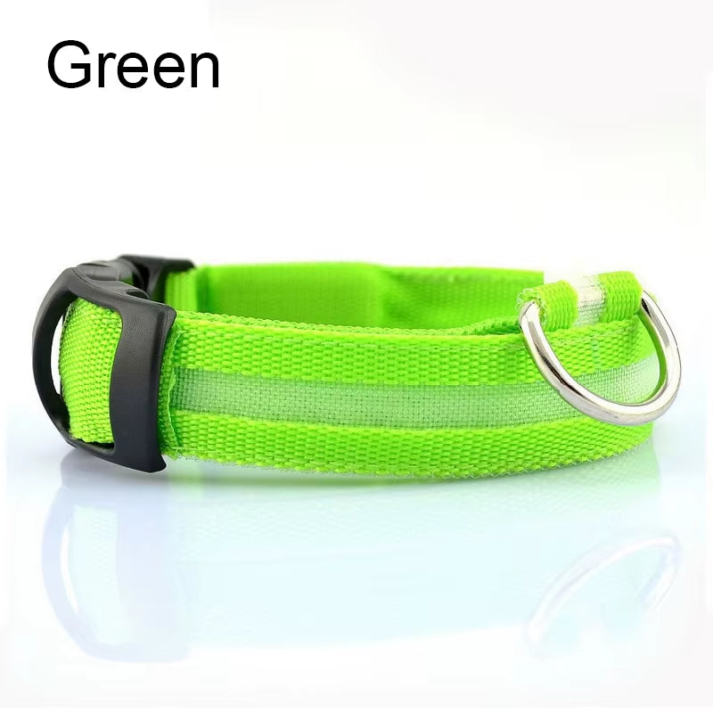 Pet Protective Dogs Luminous Fluorescent LED Flashing and Reflective Dog Collar - Big Ass Store