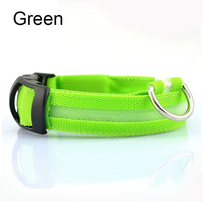 Pet Protective Dogs Luminous Fluorescent LED Flashing and Reflective Dog Collar - Big Ass Store