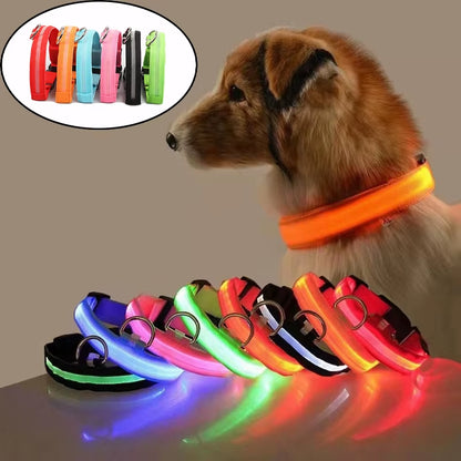 Pet Protective Dogs Luminous Fluorescent LED Flashing and Reflective Dog Collar - Big Ass Store