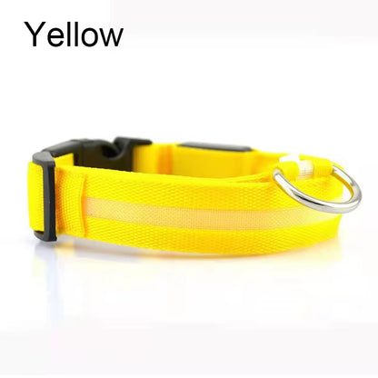 Pet Protective Dogs Luminous Fluorescent LED Flashing and Reflective Dog Collar - Big Ass Store