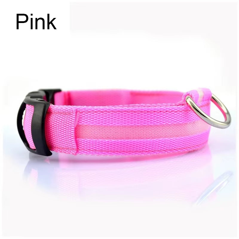Pet Protective Dogs Luminous Fluorescent LED Flashing and Reflective Dog Collar - Big Ass Store