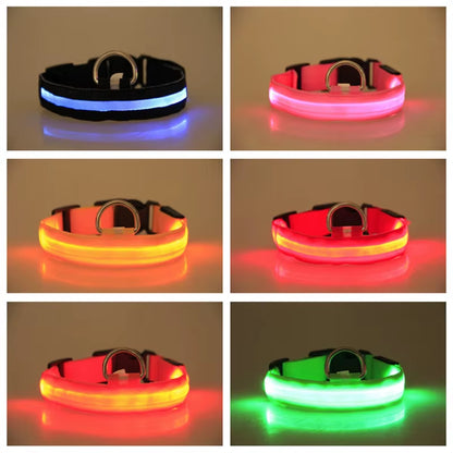 Pet Protective Dogs Luminous Fluorescent LED Flashing and Reflective Dog Collar - Big Ass Store